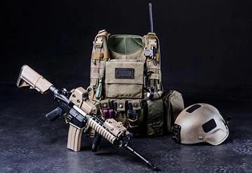 Military / Government